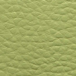 экокожа / фисташковая